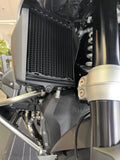 R 1300 GS RADIATOR PROTECTOR KIT