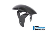 Ilmberger Carbon Front Fender